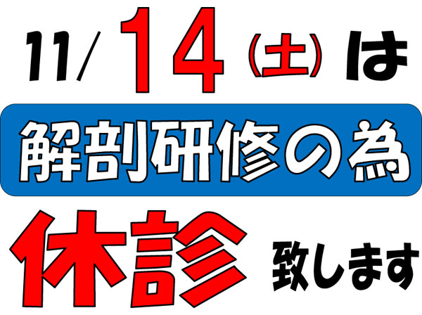 11/14は休診します。