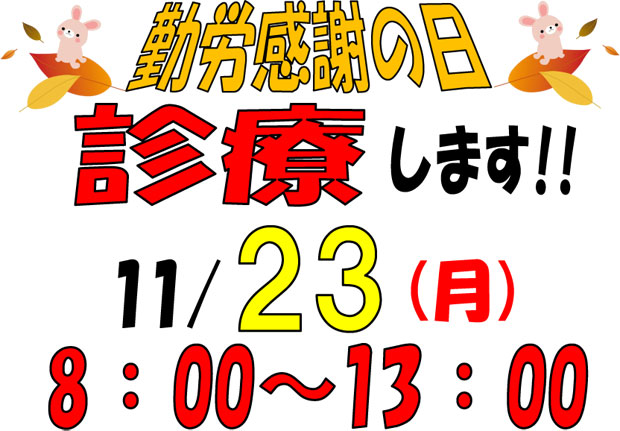 11/23は8：00～13：00までの診療です！