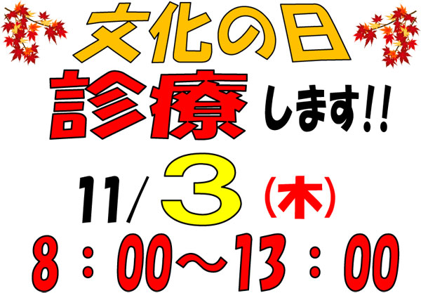 文化の日11月3日(木)は、8:00～13:00までの診療です！