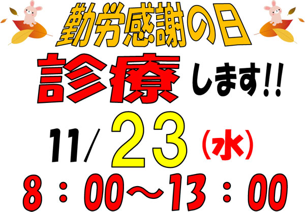 11月23日(水)は、8：00～13:00までの診療です！